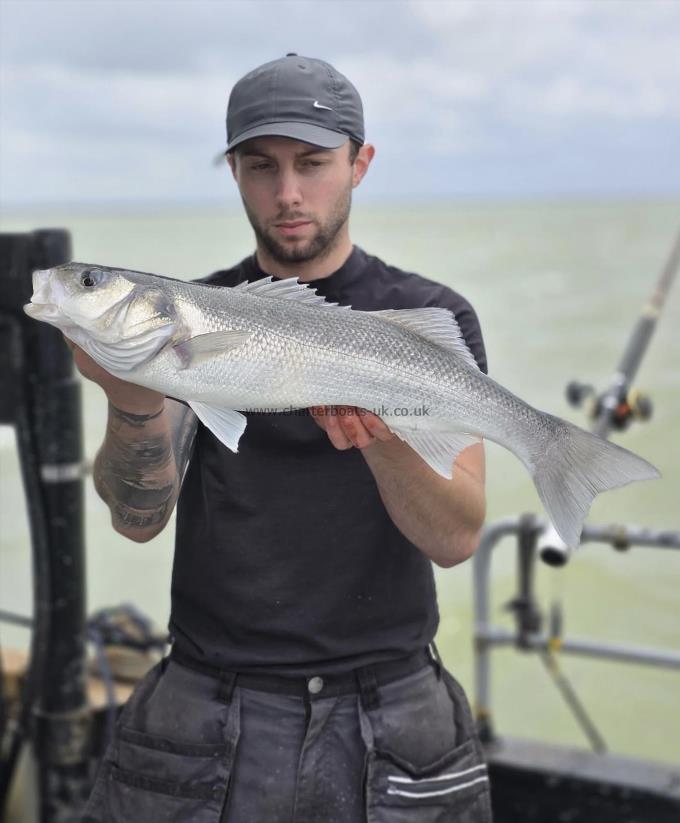 5 lb Bass by Unknown