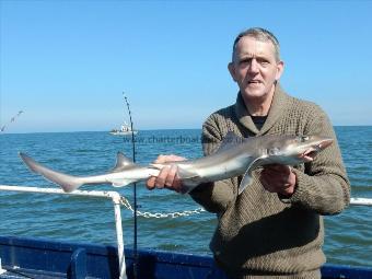 7 lb Smooth-hound (Common) by Francis