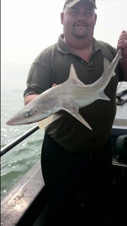 8 lb 3 oz Starry Smooth-hound by Clive from Deal