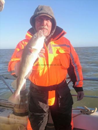 3 lb 8 oz Cod by Bob Marshall