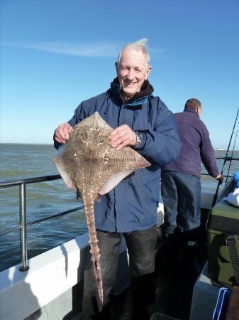 7 lb 8 oz Thornback Ray by Bob Marshall