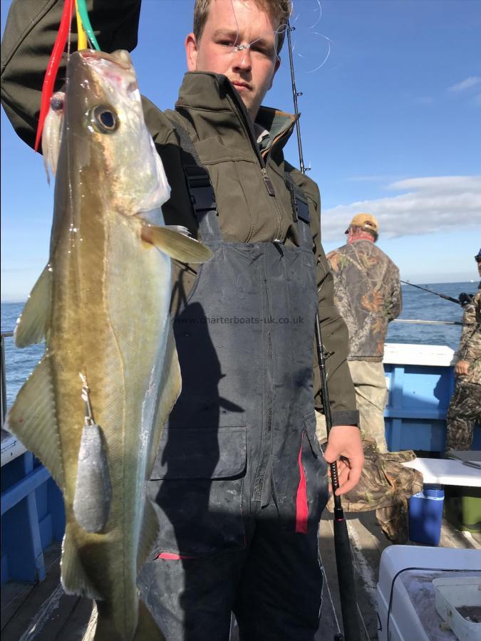 8 lb Pollock by Connor good pollock