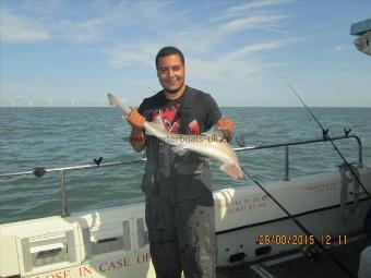 4 lb 5 oz Smooth-hound (Common) by roger berry