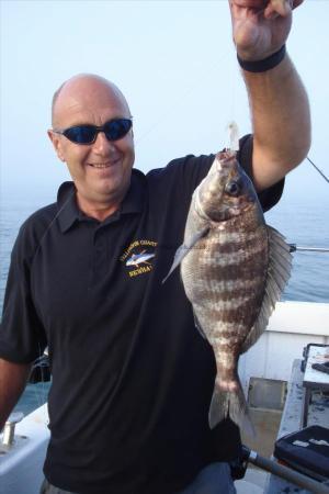 2 lb 6 oz Black Sea Bream by Panto