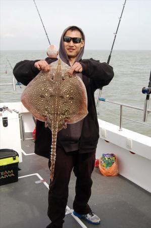 12 lb 6 oz Thornback Ray by Unknown