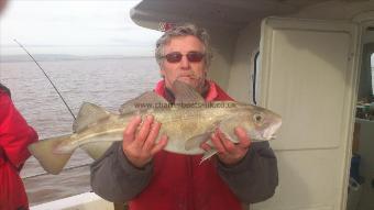 5 lb 12 oz Cod by peter lewis