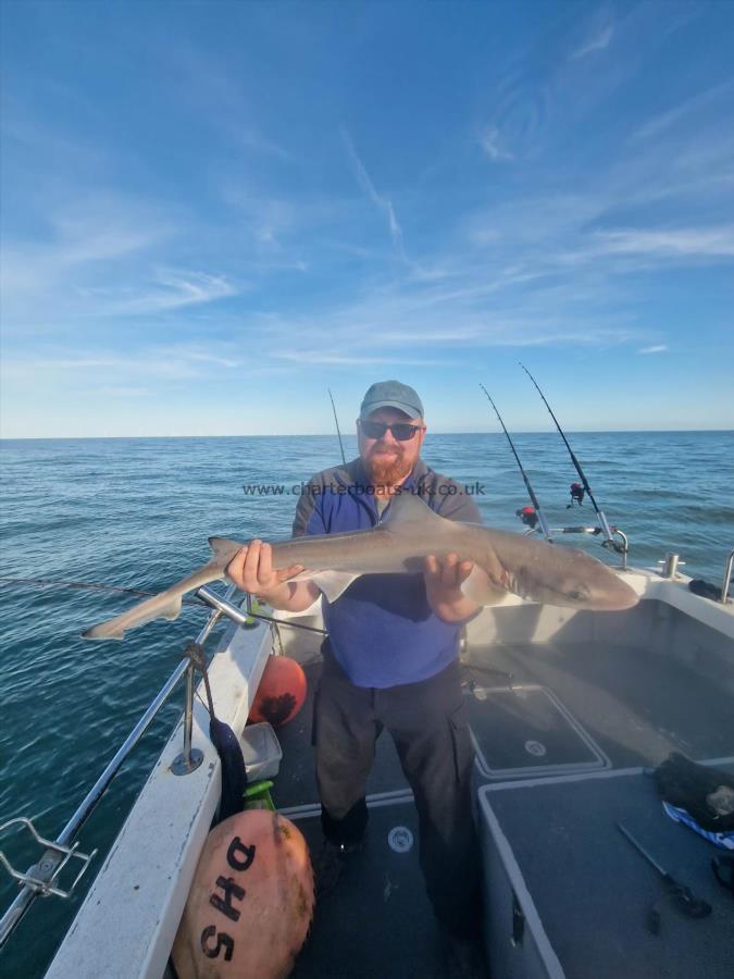 9 lb Smooth-hound (Common) by Wayne
