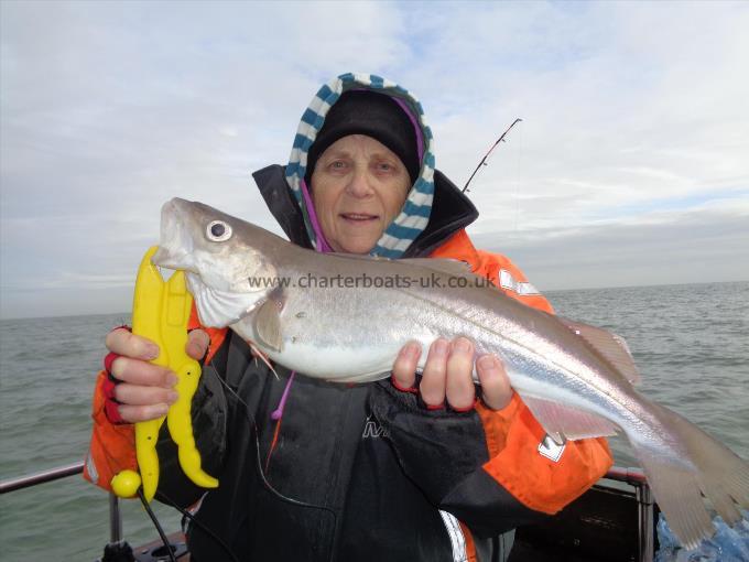 3 lb 6 oz Whiting by eileens whiting