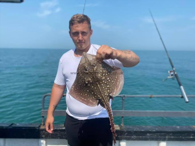 4 lb Thornback Ray by Unknown