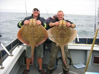 28 lb 4 oz Blonde Ray by Simon and Will