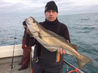 11 lb Pollock by Mark Perkin