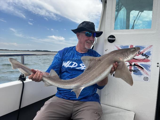 12 lb Smooth-hound by Luke