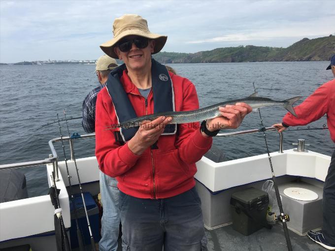 2 lb Garfish by Unknown