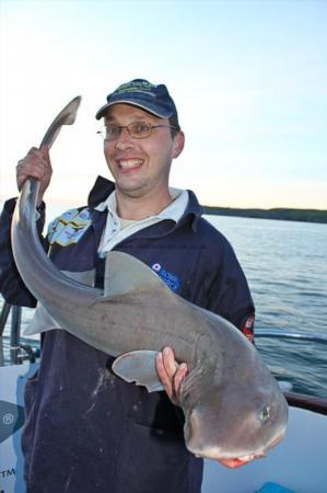 16 lb Starry Smooth-hound by Gareth P