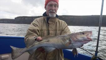 4 lb Cod by Unknown