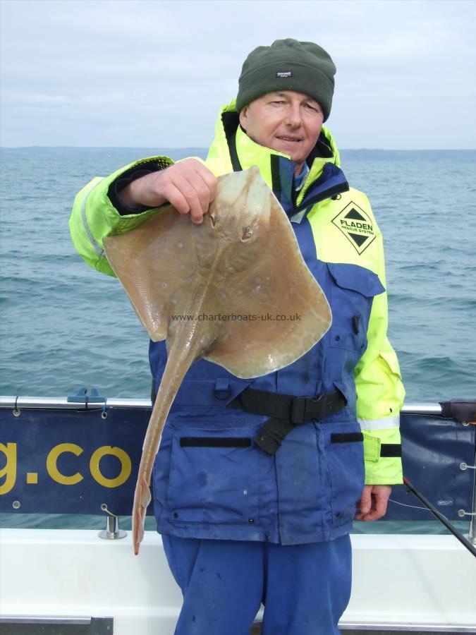 5 lb Small-Eyed Ray by David Metcalf