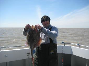 7 lb 9 oz Thornback Ray by Darren Aspinall