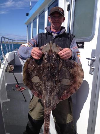 15 lb Undulate Ray by Will Smith