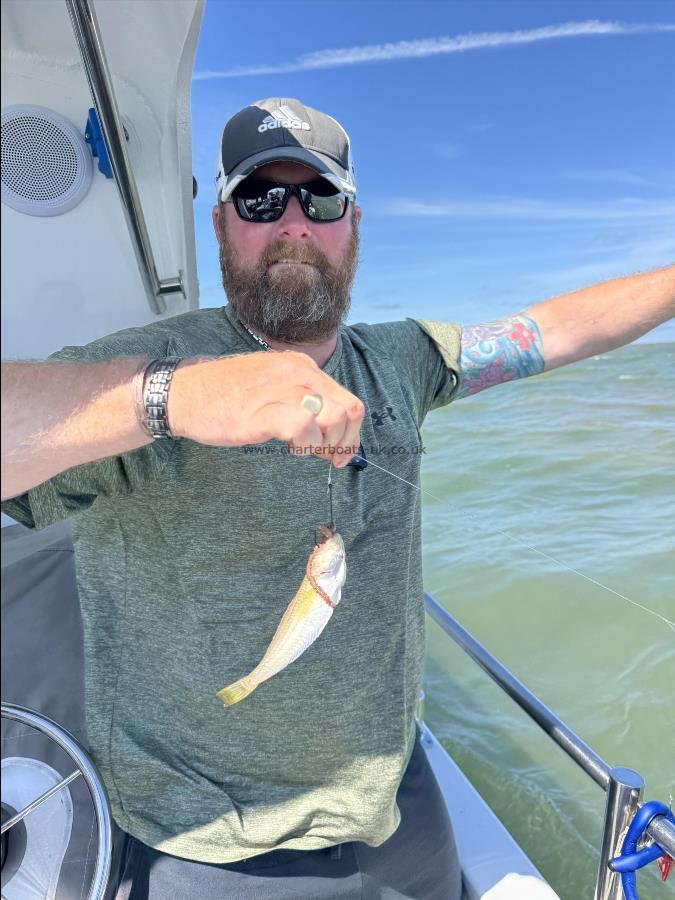 4 oz Lesser Weever by Lee