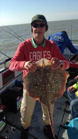 13 lb 2 oz Thornback Ray by Unknown