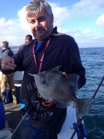 2 lb Trigger Fish by Mark