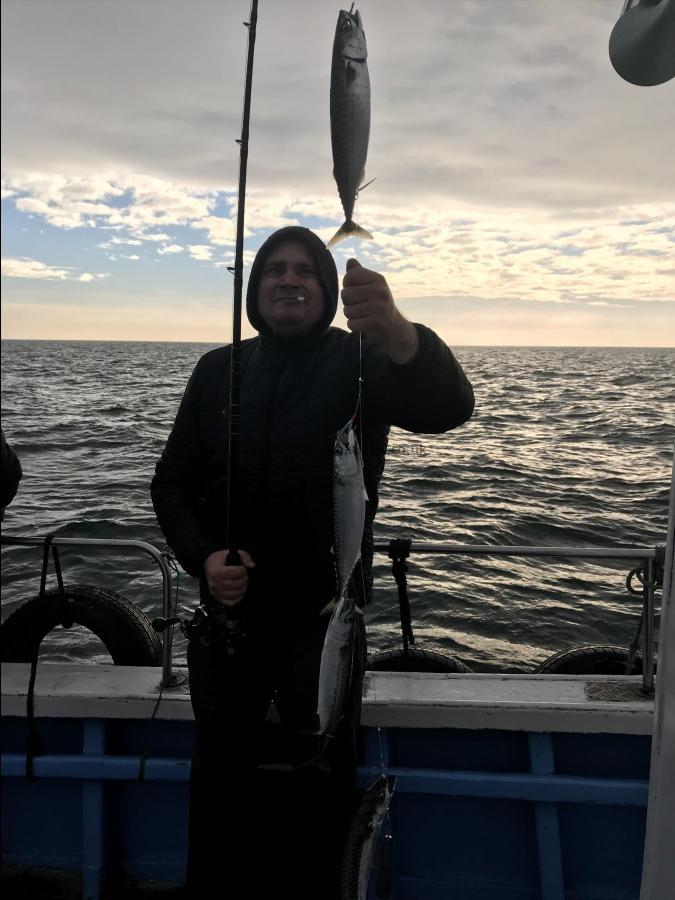 1 lb Mackerel by Lee from London