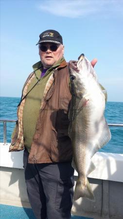 11 lb Pollock by Beef from Really Wrecked SAC