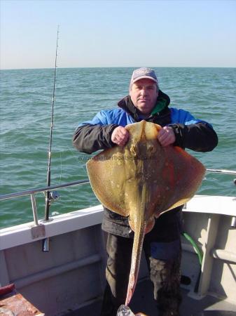 25 lb Blonde Ray by Huggy