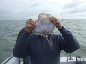 1 lb 2 oz Thornback Ray by Unknown