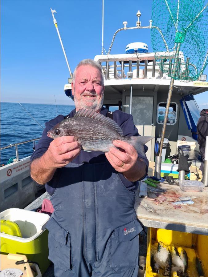 2 lb 8 oz Black Sea Bream by George G