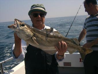 13 lb Pollock by Unknown