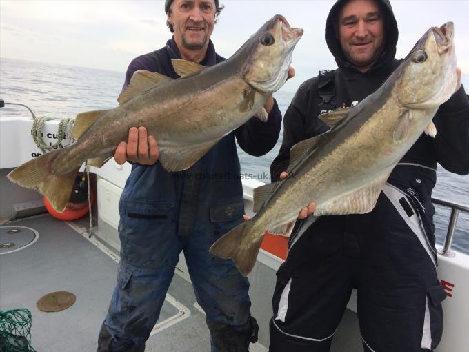 15 lb 6 oz Pollock by Stuart