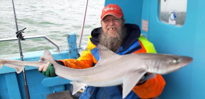 10 lb Smooth-hound by Alan
