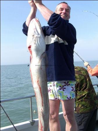 38 lb 8 oz Conger Eel by unknown