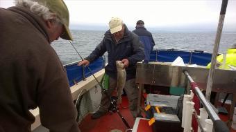 5 lb 8 oz Cod by Stephen Wake