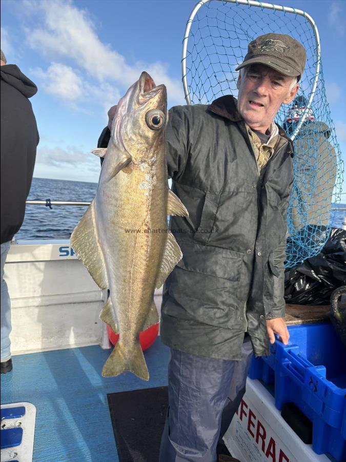 4 lb Pollock by Dave.