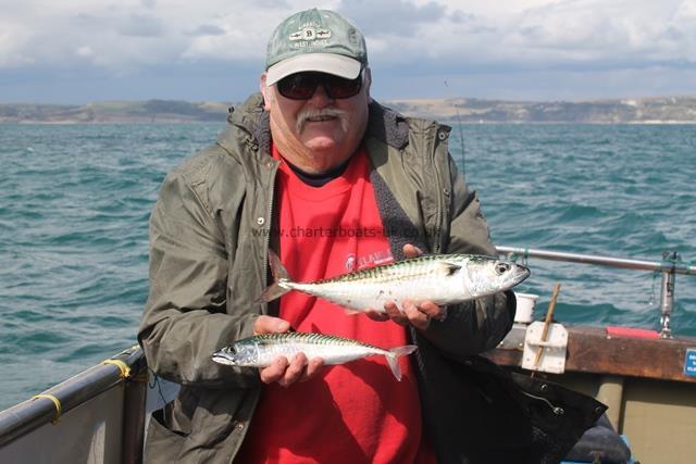 1 lb 14 oz Mackerel by Unknown