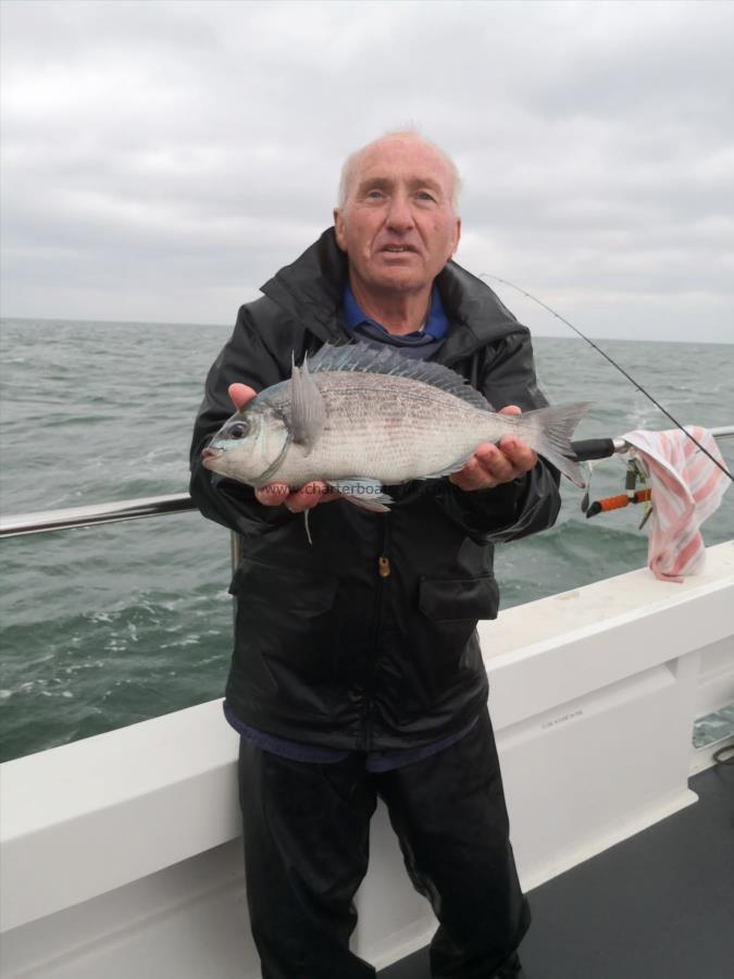 2 lb 8 oz Black Sea Bream by Paul