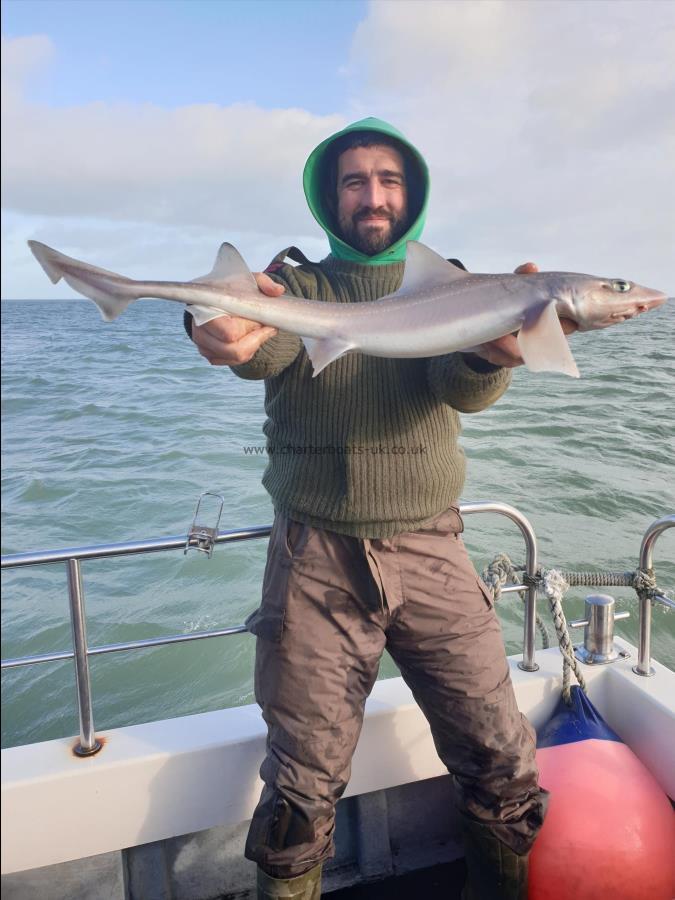 5 lb 4 oz Smooth-hound (Common) by Bob Marshall