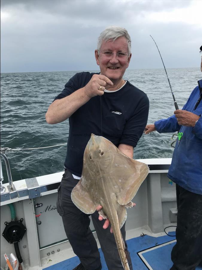 6 lb Small-Eyed Ray by Unknown