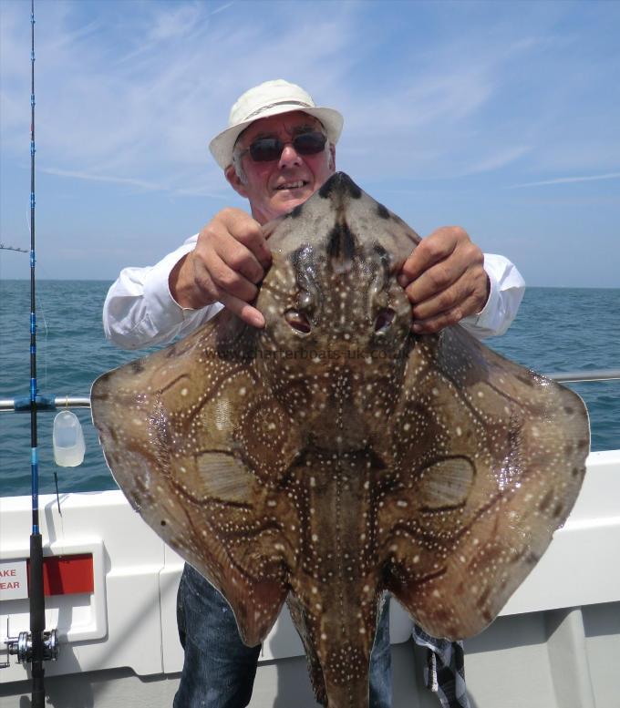 16 lb 3 oz Undulate Ray by Mike Aucock
