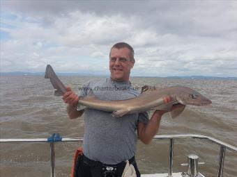 13 lb 10 oz Starry Smooth-hound by peter wentworth