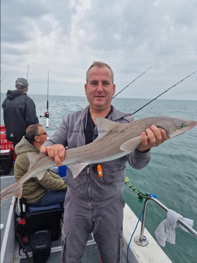 7 lb Smooth-hound by David