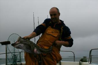 5 Kg Monkfish by Unknown