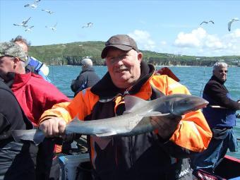 6 lb 6 oz Smooth-hound by Unknown