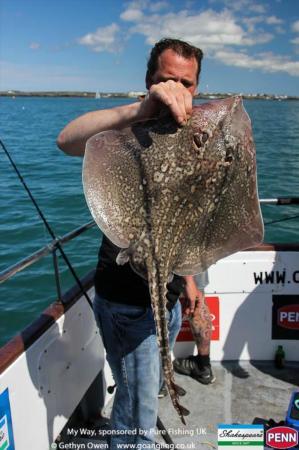 9 lb Thornback Ray by Mark