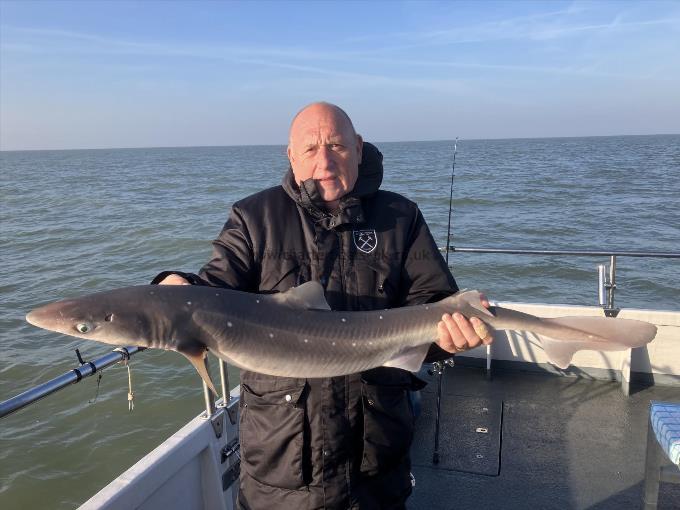 15 lb Spurdog by Unknown