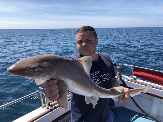 16 lb Smooth-hound (Common) by Ben
