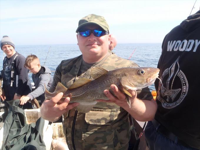 3 lb 6 oz Cod by Unknown