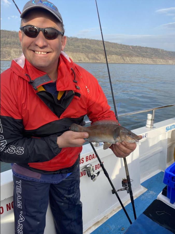 1 lb 6 oz Cuckoo Wrasse by Andy.